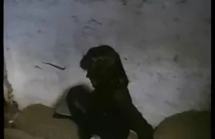 XXX زوجین وسوسه می شوند که در موقع سكسي سوري آشپزخانه رابطه جنسی برقرار کنند