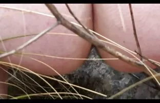 XXX شرلی - پورنو بالا سكس دكتور سوري