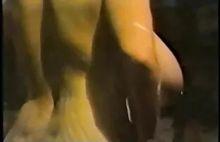 XXX سبزه بلند و سکسی مکیده سكسى سورى