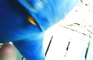 XXX این زوج به خود پیک نیک صمیمی در xnxxسكس سوري باغ دادند
